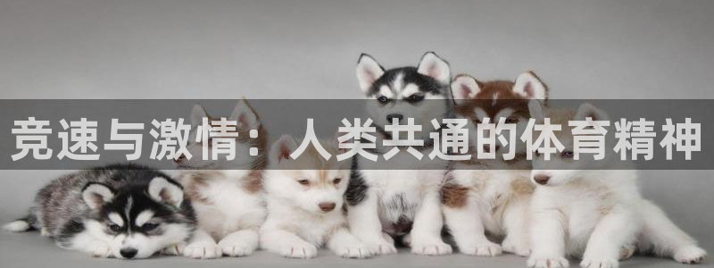 菲律宾ug环球官网