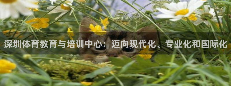 ug环球官网登录入口