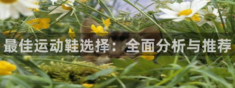 ug环球官网